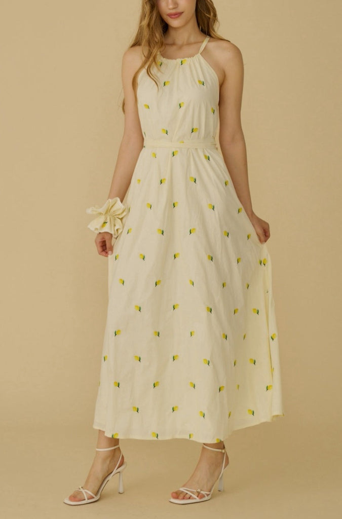 Menton lemon embroidery maxi dress